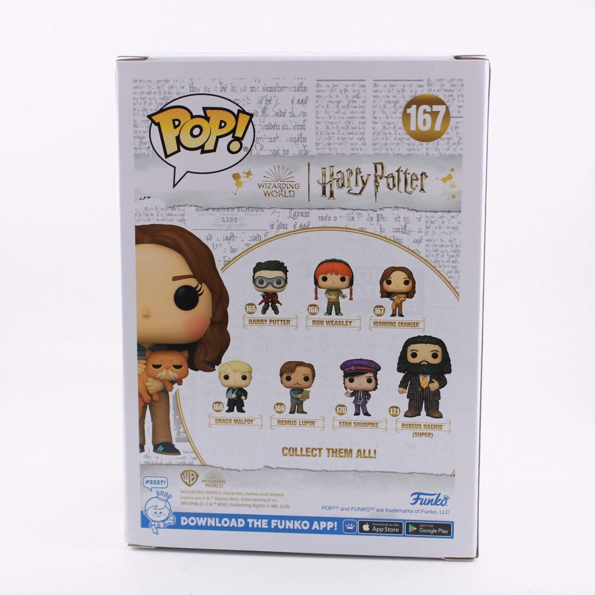 Funko Pop! Harry Potter – Hermione Als Katze (9,5 Cm) Vinylfigur