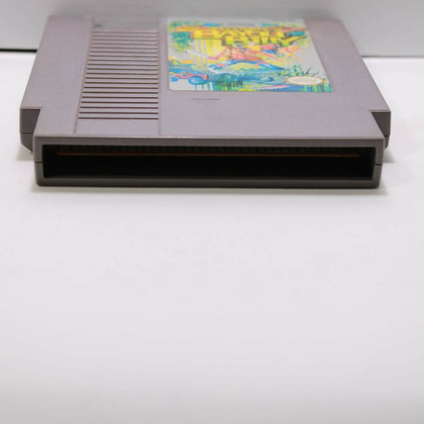 Nintendo NES Game with Manual - Adv of Bayou Billy - Cleaned, Tested & Working